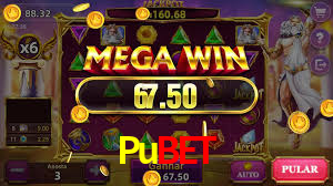 Pubet App