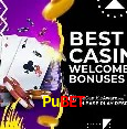 Pubet,Pubet.Com