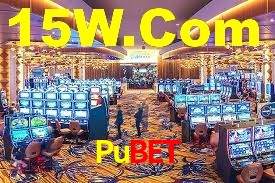 Programa VIP Pubet
