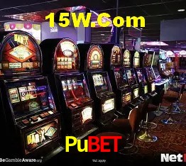 Sistemas de Segurança Pubet